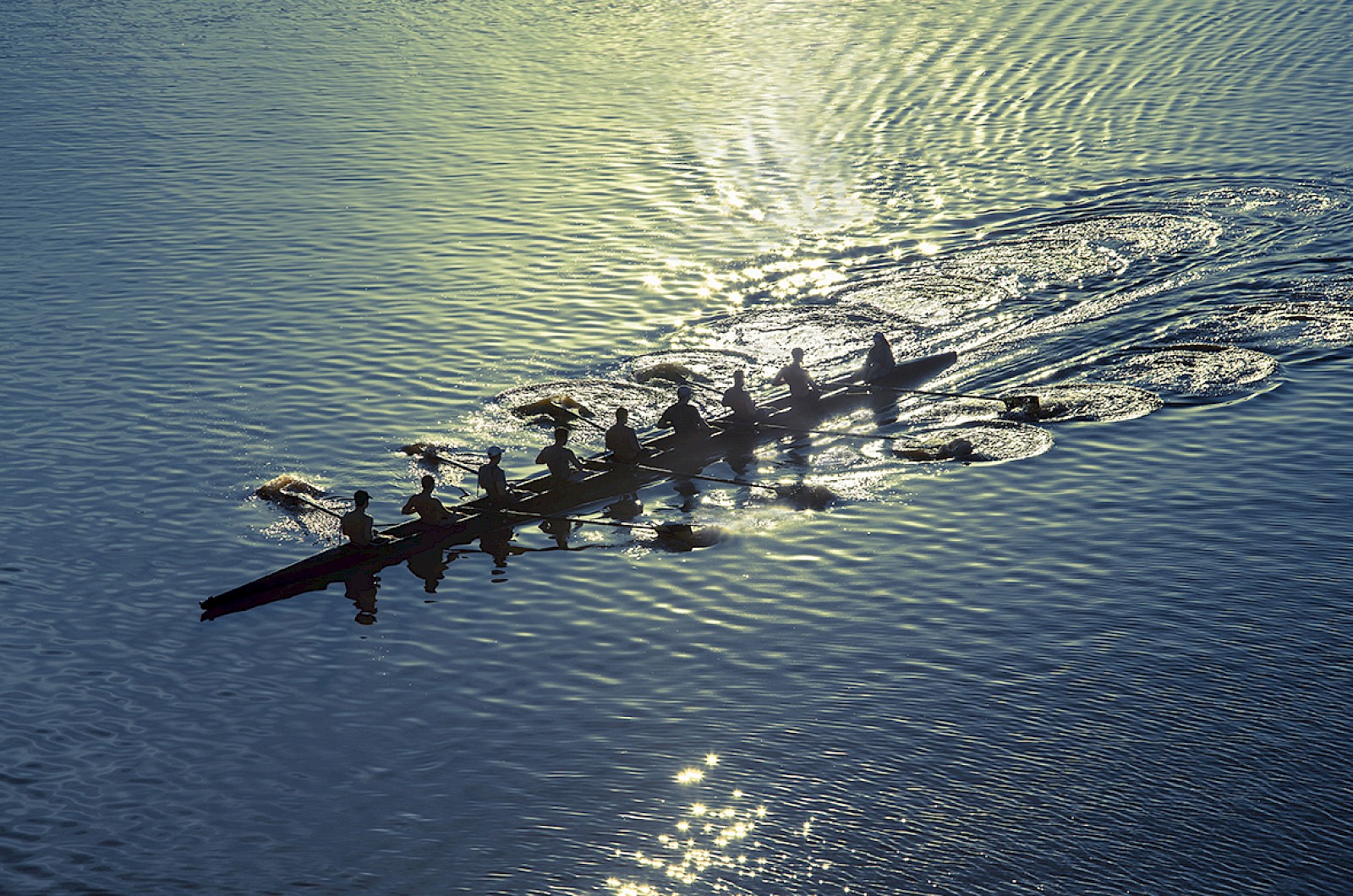 8 rowers in one rowing boat gliding down a river